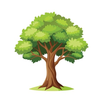 Beautiful Single Big Tree Illustration vector