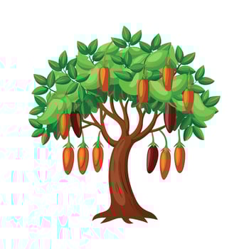 Beautiful Single Big Tree Illustration vector