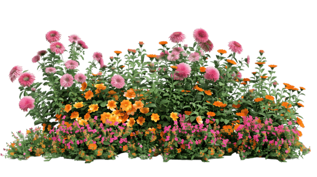 Colorful floral arrangement isolated on a transparent background png