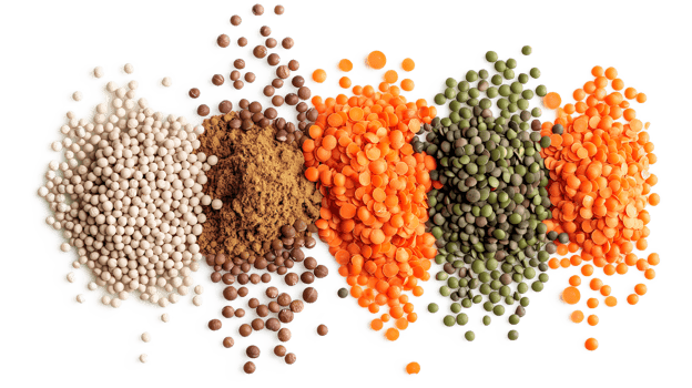 Group of beans and lentils isolated on a transparent background png