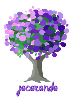 Jacaranda tree. South american tree with purple flowers. isolated illustration vector