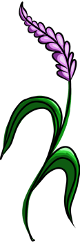 Spring Wildflower illustration for your design png