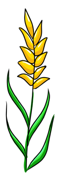 Spring Wildflower illustration for your design png