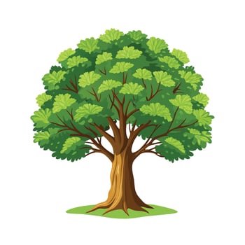 Beautiful Single Big Tree Illustration vector