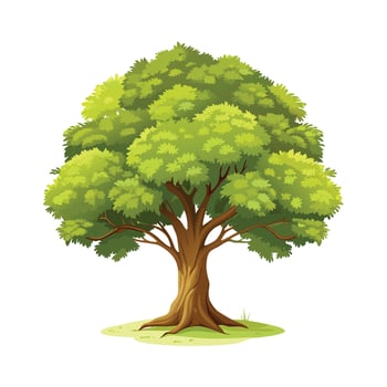 Beautiful Single Big Tree Illustration vector