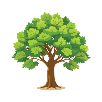 Beautiful Single Big Tree Illustration vector