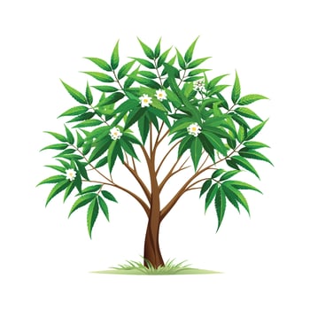 Beautiful Single Big Tree Illustration vector