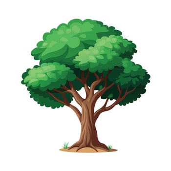 Beautiful Single Big Tree Illustration vector