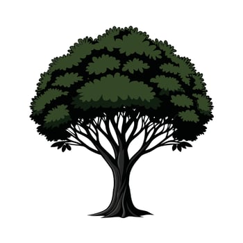 Beautiful Single Big Tree Illustration vector