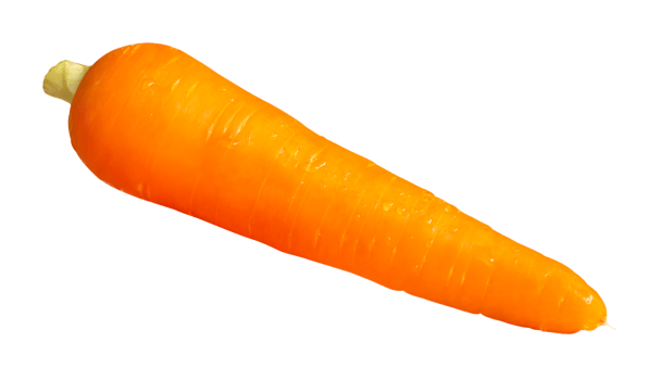 Top view of single orange carrot isolated with clipping path in file format png