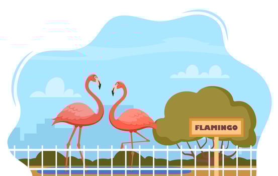 Flamingo on territory of wildlife zoo park surrounded by fence. illustration. vector