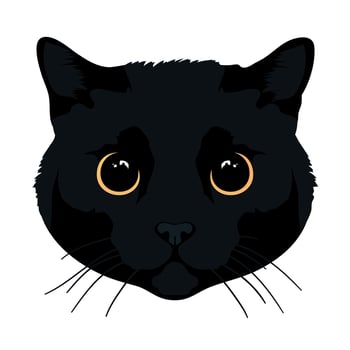 Cat head isolated on white background. Feline face. Black cat with big yellow eyes. Realistic style. For stickers, t shirts, mugs, design vector