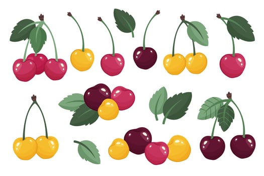 Set of Yellow and red cherries isolated. Fresh Cherry bunch. Fruits and berries design. Juices fruits with leaves close up. Berries icons. Delicious Organic food. illustration vector