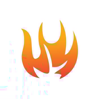 Modern fire icon vector
