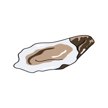 Seafood Collection oyster vector