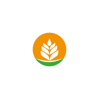 Grain Wheat Logo Concept sign icon symbol Design. Illustration logo template png