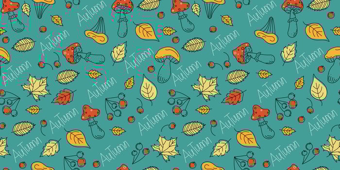 Pattern. Autumn leaves, linear icons set, contour drawings. Autumn leaves, mushrooms, berries, fly agarics. Hand lettering. Seamless background, wallpaper decor. vector