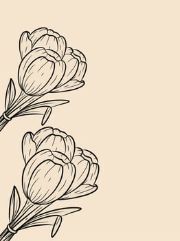 hand drawn tulip flower line art with coral background and blank space vector