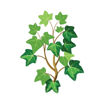 Beautiful Flowerpot Houseplant Illustration vector
