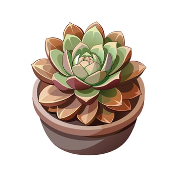 Beautiful Flowerpot Houseplant Illustration vector