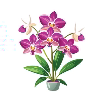 Beautiful Flowerpot Houseplant Illustration vector