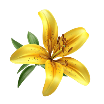 Digital Rendering of Yellow Lily Flower with Black Dots on Transparent background AI-Generative png