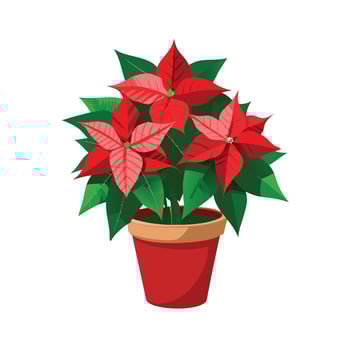 Beautiful Flowerpot Houseplant Illustration vector