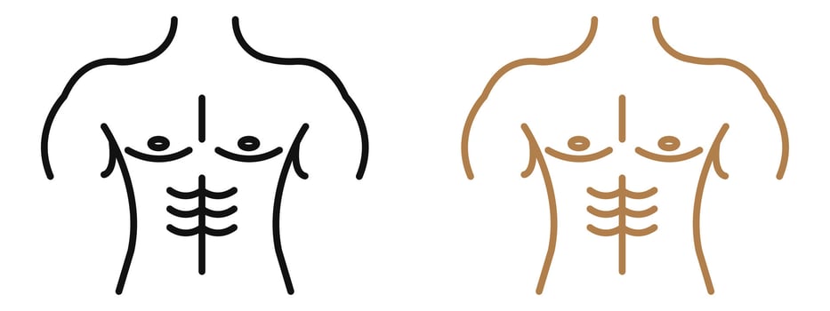 Fitness Torso Icon for Male Anatomy, Workout Guides, and Health Illustrations vector