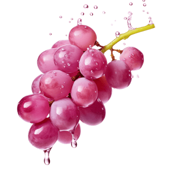 Fresh grapes with Transparent Background png