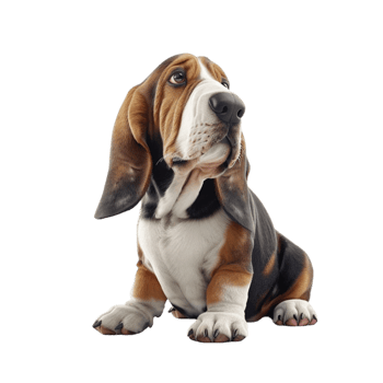 Cute Puppy with Sad Expression Standing on Transparent background AI-Generative png