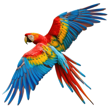 blue and gold macaw parrot on transparent background png