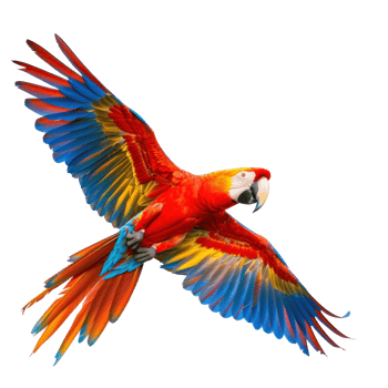a colorful parrot flying in the air png