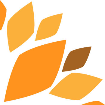 soft color flower petal design png