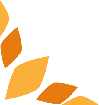 soft color flower petal design png