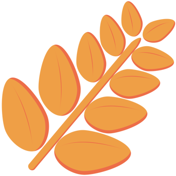 Illustration of orange leaves as decoration for card design in autumn style. png