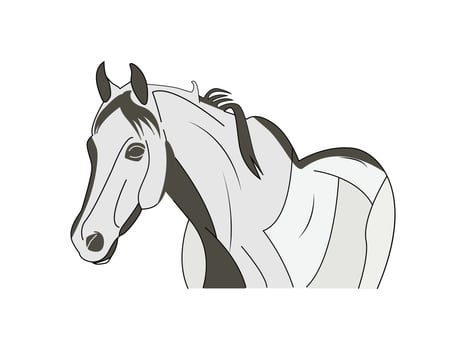 Set of horse Silhouette Illustration. Horse silhouette collection vector