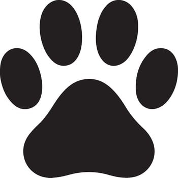 Paw foot trail print of cat. Dog, puppy silhouette animal diagonal tracks for t-shirts, backgrounds vector