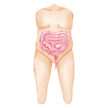 Watercolor Comprehensive Digestive System Anatomy Illustration for Medical Education png