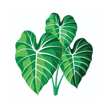 Realistic Beautiful Leaves Illustration vector