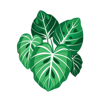 Realistic Beautiful Leaves Illustration vector