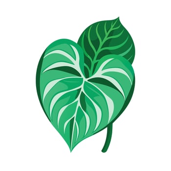 Realistic Beautiful Leaves Illustration vector