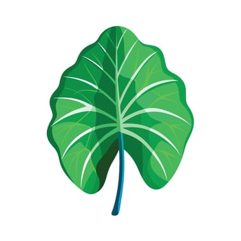 Realistic Beautiful Leaves Illustration vector