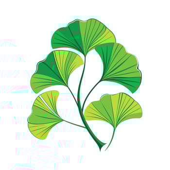 Realistic Beautiful Leaves Illustration vector
