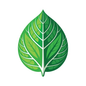 Realistic Beautiful Leaves Illustration vector