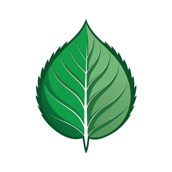 Realistic Beautiful Leaves Illustration vector