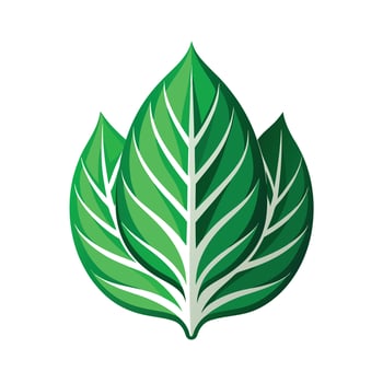 Realistic Beautiful Leaves Illustration vector