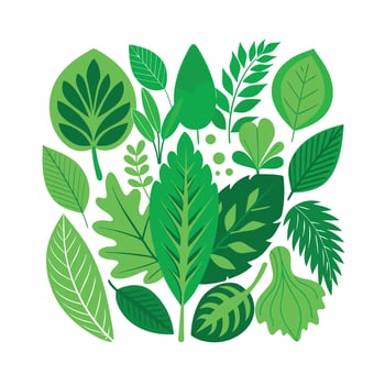 Realistic Beautiful Leaves Illustration vector