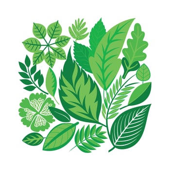 Realistic Beautiful Leaves Illustration vector
