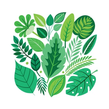 Realistic Beautiful Leaves Illustration vector