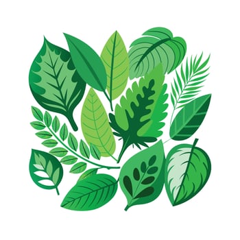 Realistic Beautiful Leaves Illustration vector